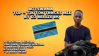 Botswana Top  Tik Tok Tracks MIX BY DJ BEELZE LK [upl. by Susanne]