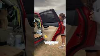 vanlife carlife catsofyoutube travelcats travel arizona [upl. by Yk]