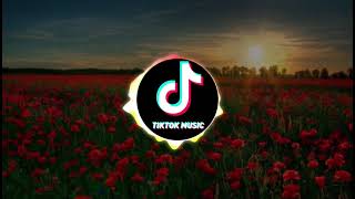 Jaymes Young  Infinity Official Audio  Tik Tok Remix1 Hora [upl. by Nosnehpets]