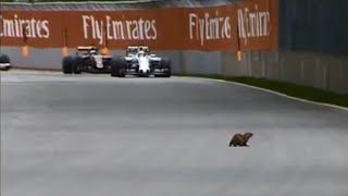 F1 2015 Canada GP BEAVER [upl. by Namruht530]