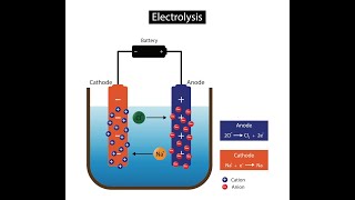 Using Electrolysis To Extract Metals GCSE Chemistry [upl. by Asilenna245]