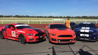 Shelby GT Racer and John Bowe At Sandown Raceway [upl. by Christmann]