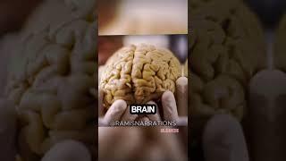 Man Survives Losing 90 of Brain facts brain viralshorts [upl. by Esiuole539]