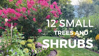 12 Small Trees and Shrubs for Tiny Landscapes 🌳 [upl. by Merry]