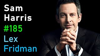 Sam Harris Consciousness Free Will Psychedelics AI UFOs and Meaning  Lex Fridman Podcast 185 [upl. by Bernarr]