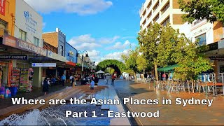 Tour of EASTWOOD NSW  Asian Places in Sydney  悉尼华人区 伊士活  시드니한인마을 이스트 [upl. by Sawyere599]