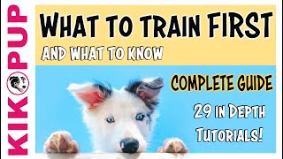 Puppy Training  What to train first [upl. by Ledba]