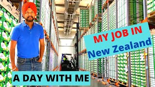 A DAY WITH ME AT MY WORK PLACE  HOW KIWIFRUIT IS PACKED IN NEW ZEALAND  THE URBAN GUY [upl. by Ordnas329]