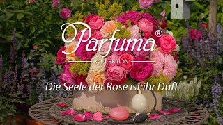 Parfuma® DuftrosenKollektion [upl. by Wachtel131]