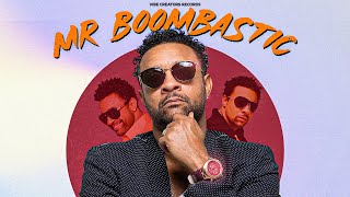 SHAGGY  MR BOOMBASTIC REMIX MUSIC VIDEO [upl. by Winchell820]