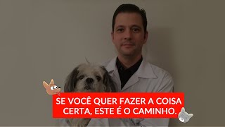 Possíveis causas de Leucocitose por neutrofilia em cães e gatos [upl. by Annitsirhc177]