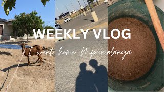 WeeklyVlog I’m in Mpumalanga🏡This vlog is all over the place sha🤭Sa YouTuber [upl. by Hotze]