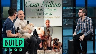 Cesar And Andre Millan Discuss Their Show quotDog Nationquot And The Book quotCesar Millans Lessons From T [upl. by Anairdna]