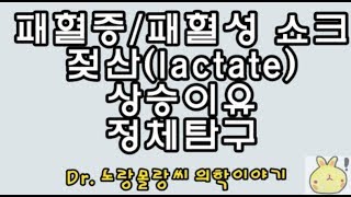 패혈증sepsis패혈성 쇼크septic shock 젖산 상승 이유elevated lactate reason [upl. by Chick]