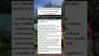 Skorzystaj z mojej listy ‚to do’ na koniec lata 😉👩‍🌾🌱 ogrodnictwo [upl. by Eveiveneg]