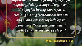 tagalog verse tungkol sa buhay mga taga efeso 613 [upl. by Salahi]