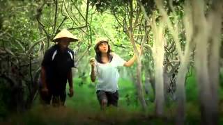 Video Promosi Wisata Jawa Timur  Wonderful Indonesia  East Java [upl. by Yblocaj568]