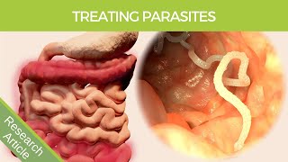 Human Intestinal Parasite Treatment Explained [upl. by Nasho972]