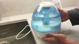 Anypro Cool Mist Humidifier First Look Overview Anti Mold Ultrasonic Steam Vaporizer [upl. by Ainigriv140]