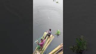 Amazing Traditional Net Fishing Video fishing [upl. by Maidie]