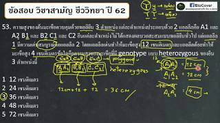 เฉลย 9วิชาสามัญชีวะ ปี 62 ข้อ 5253  หมู่เลือด MN และ polygene [upl. by Tedder]