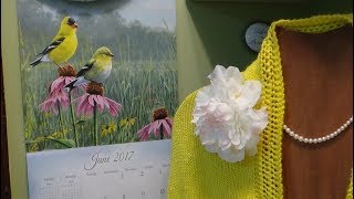 Js Knit  Lemons and Lace Simple Summer Shawl EP 68 [upl. by Ebarta317]