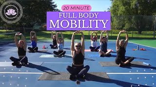 20 Minute Mobility amp Stretch Routine  Stretch and Flow [upl. by Millan981]