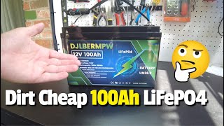 DJLBERMPW 12V 100Ah LiFePO4 Battery [upl. by Elleirua]