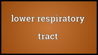 Lower respiratory tract Meaning [upl. by Eelinej]