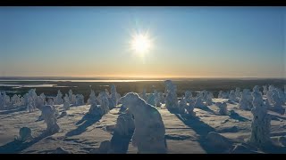 Riisitunturi in Lapland Finland beautiful winter landscapes of national park in Posio by drone [upl. by Eveleen458]