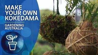 Make a kokedama  moss hanging pots [upl. by Beauchamp]