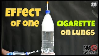 Effect of one CIGARETTE on human Lungs  Experiment [upl. by Lateehs627]