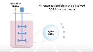 The Impact of pH on Cell Culture in Bioreactors – Two Minute Tuesday Video [upl. by Eessej]