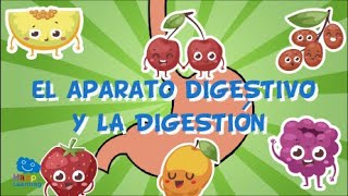 EL APARATO DIGESTIVO Y LA DIGESTIÓN  Videos Educativos para Niños [upl. by Aerdnael]