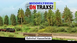 Bahnhof Hasselfelde OntraXS 2023 [upl. by Adnowat769]