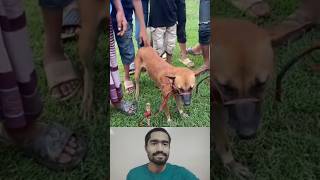 eita ki kono kothasele gula kukurer bacchatar songe e ki korlofunny video dog and man jaforiqbal [upl. by Tamra27]