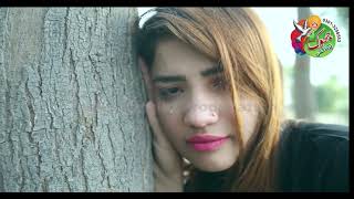 whatsapp status Dil ton bhulai bhala thevi Singer Sobia Malik Jhoke Network [upl. by Ilanos]