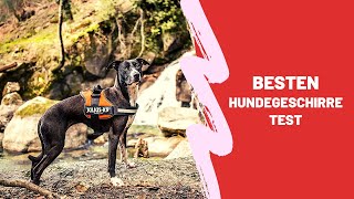 ✅ Die Besten Hundegeschirre Test  Top 5 [upl. by Mears]