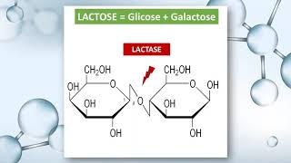 METABOLISMO E CRESCIMENTO BACTERIANO [upl. by Hinman695]