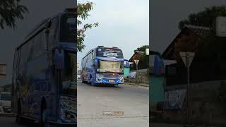 ZAFIRA OLENG TIPIS TIPIS busmania basuri viralvideo [upl. by Glass]