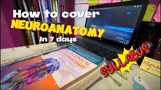 NEUROSCIENCE How to cover Neuroanatomy in 1 DAY anatomy brainless neuroscience [upl. by Ahsael]