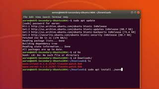 Wisenet WAVE VMS Linux Server Install [upl. by Ahsinak]