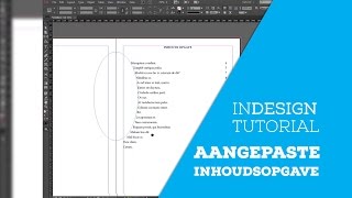 Hoe maak je een aangepaste inhoudsopgave in InDesign [upl. by Efinnej445]