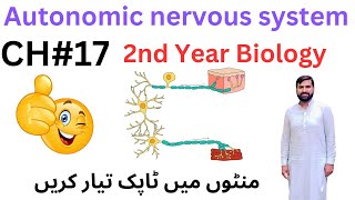 Autonomic nervous system  12 Class biology  2ndyearbiology [upl. by Hearn]