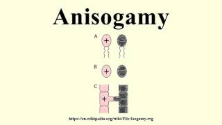 Anisogamy [upl. by Zakaria]