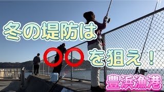 豊浜漁港で釣り🎣 20231210 [upl. by Imoyaba]