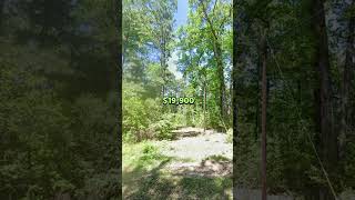 1 acre land for sale on Texas for 19900 Dm for more realestatetexas fyp [upl. by Hayifas]