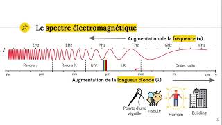 Le spectre électromagnétique [upl. by Aihpos]