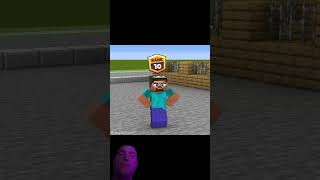 Whose rank is cooler😅 Reaction minecraft animationminecraft memes gaming shortsminecraft [upl. by Aynat]