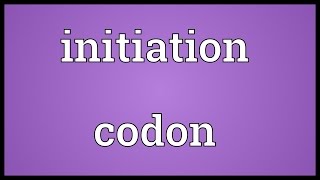 Initiation codon Meaning [upl. by Cort147]